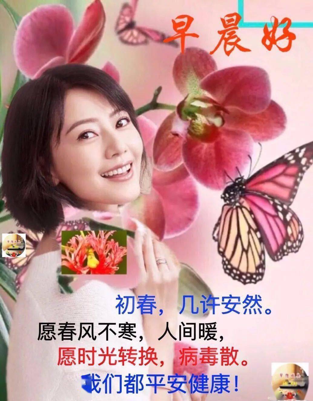 1月11日最新版大家早上好表情图片大全,清晨大家早上好问候祝福语动画
