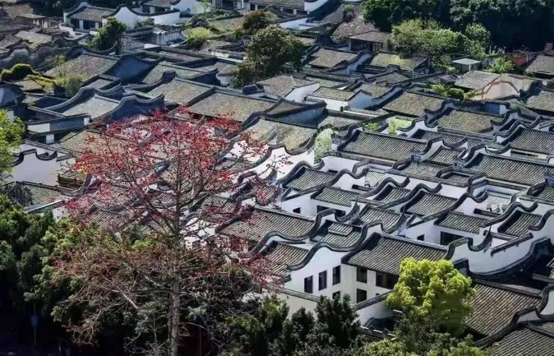 区域内现存古民居约有270座,现有159处被列入保护建筑, 15处国家级
