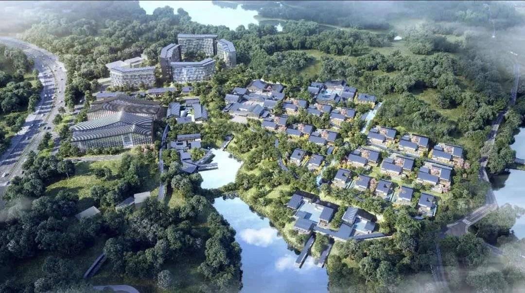香洲年度答卷给几分?_凤凰君