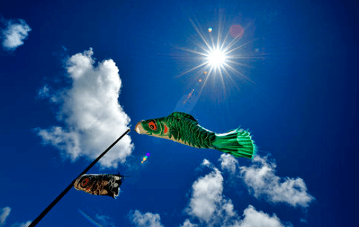 0f9799c3708b4281ba602a878e8eda2d.png