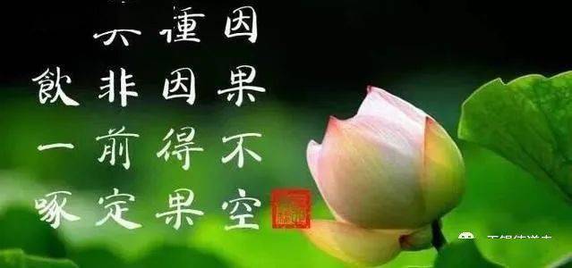 1a854f3b07d64012bcaf2f40cc23cade.jpeg