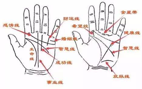 这3种手相的人必定大富大贵事业有成财运相当旺