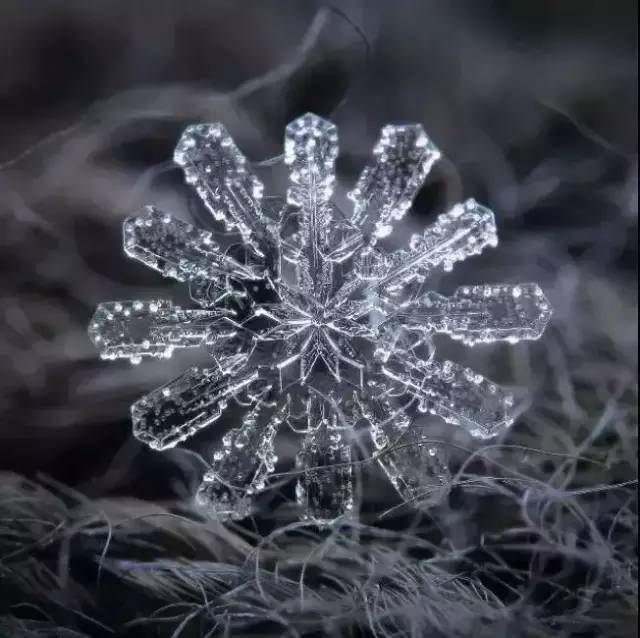 雪花是什么样子的你知道吗