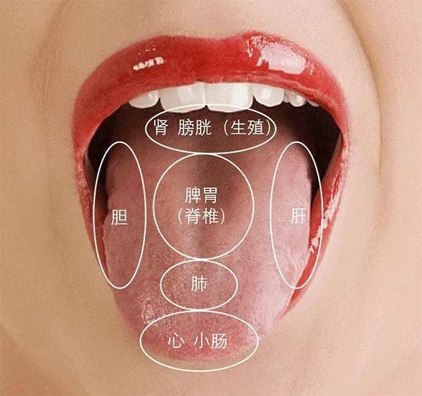 舌头看五脏:  舌苔黄,舌质红, 多是有热  舌边红,苔黄干,多为肝经有