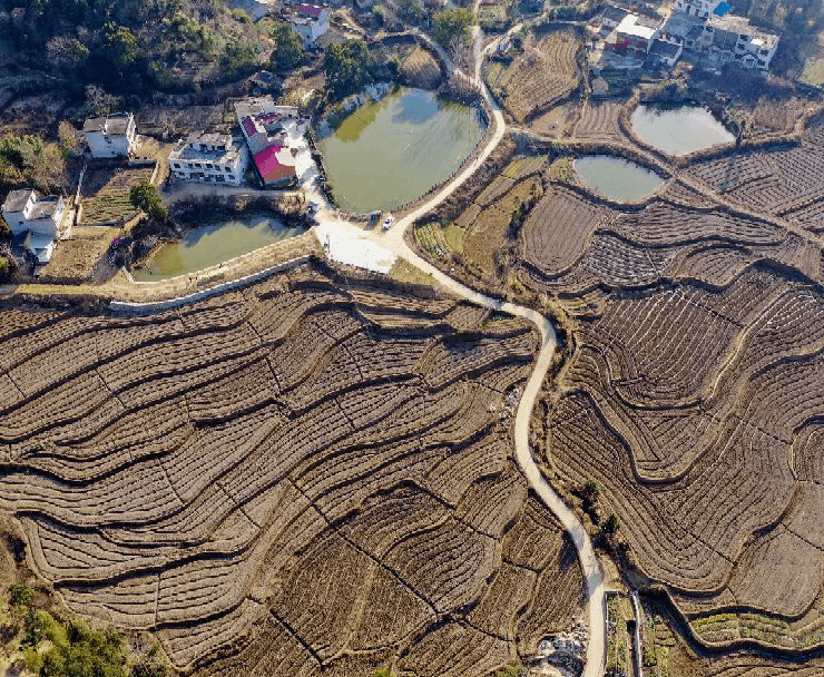 蕲春狮子镇人口_湖北蕲春横车镇
