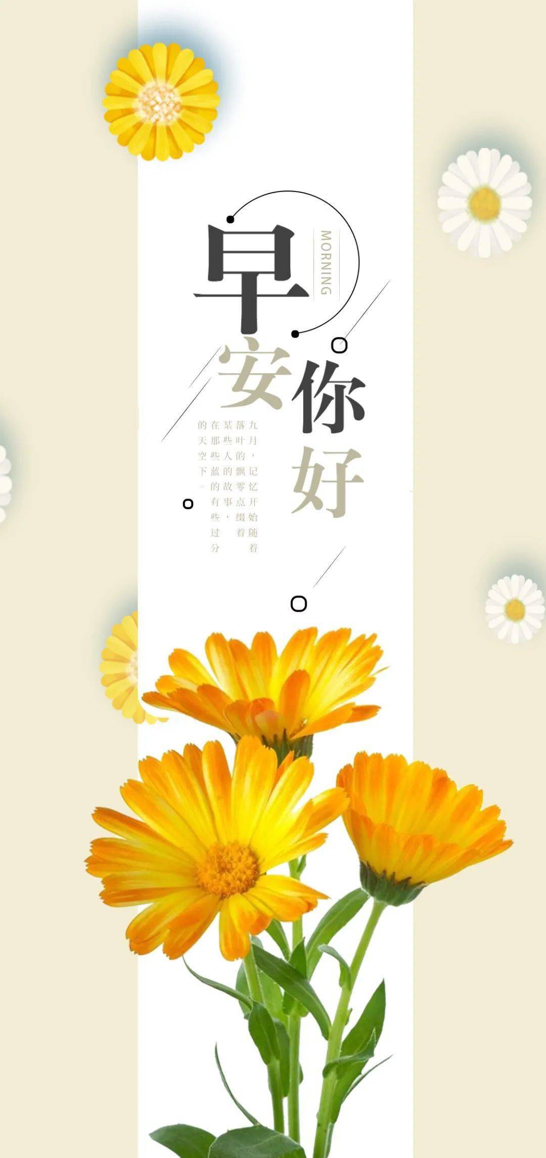 清晨最阳光的励志句子大全 特别激励人心的早安励志说说励志图片