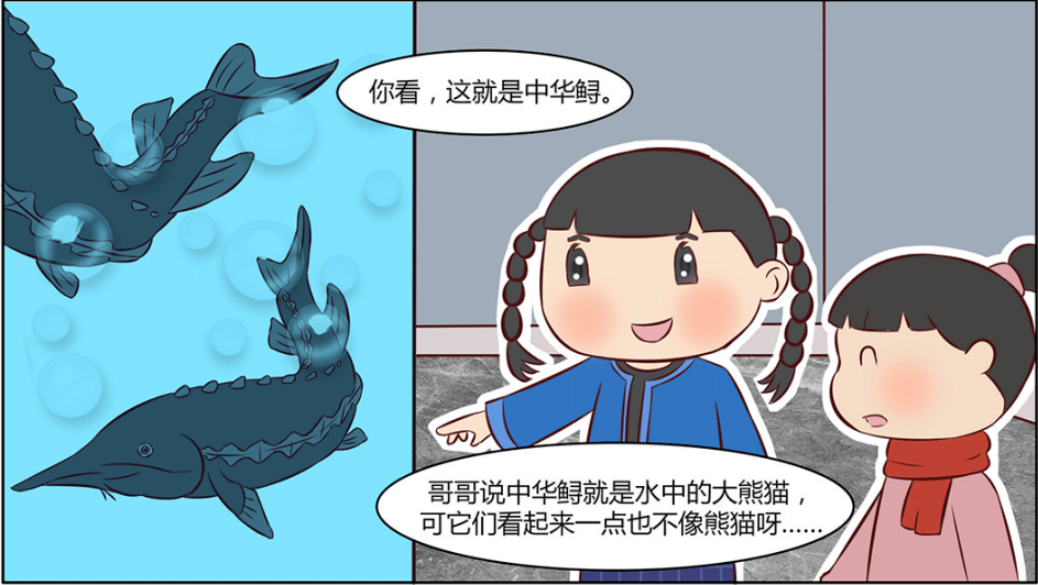 连环漫画想要了解崇明中华鲟之家吗土布娃娃们带你去探寻