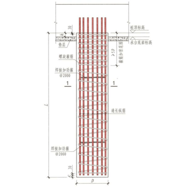 正业国际董事长照片