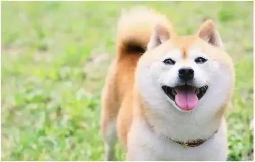 2f3ed67b97dd4137b7cce0eee4c61097.jpeg