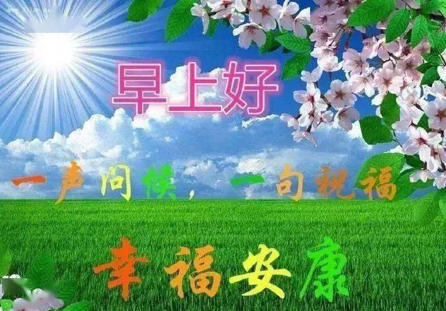 3dff9b8b30204272842236e20be4b554.jpeg