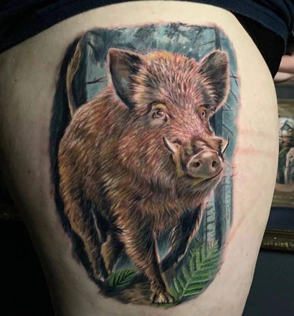 一猪二熊三老虎中排第一的野猪纹身_手机搜狐网