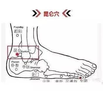 定位方法:取穴时,可采用仰卧或正坐的姿势,申脉穴位于足外侧部位,脚