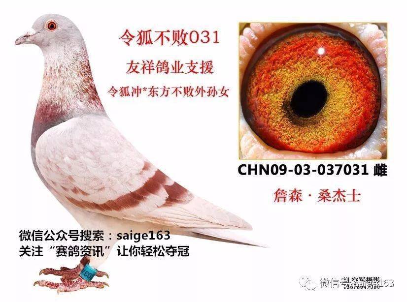 东方不败最佳配对—令狐冲!