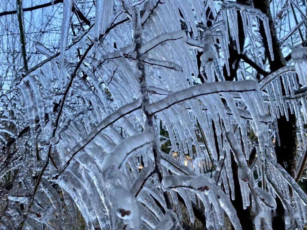 8.8!冰景图刷屏,梅州一秒到"雪国!