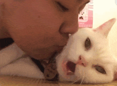 主人搂猫暴风雨式狂亲,猫咪石化怀疑猫生,生无可念