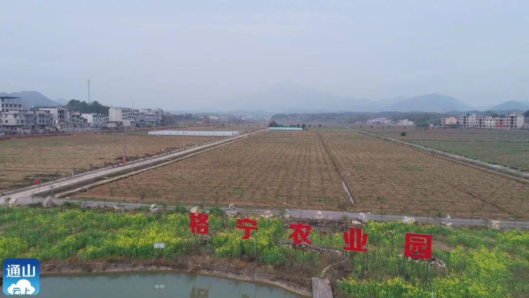 通山产业项目培育活力迸发_南林桥镇