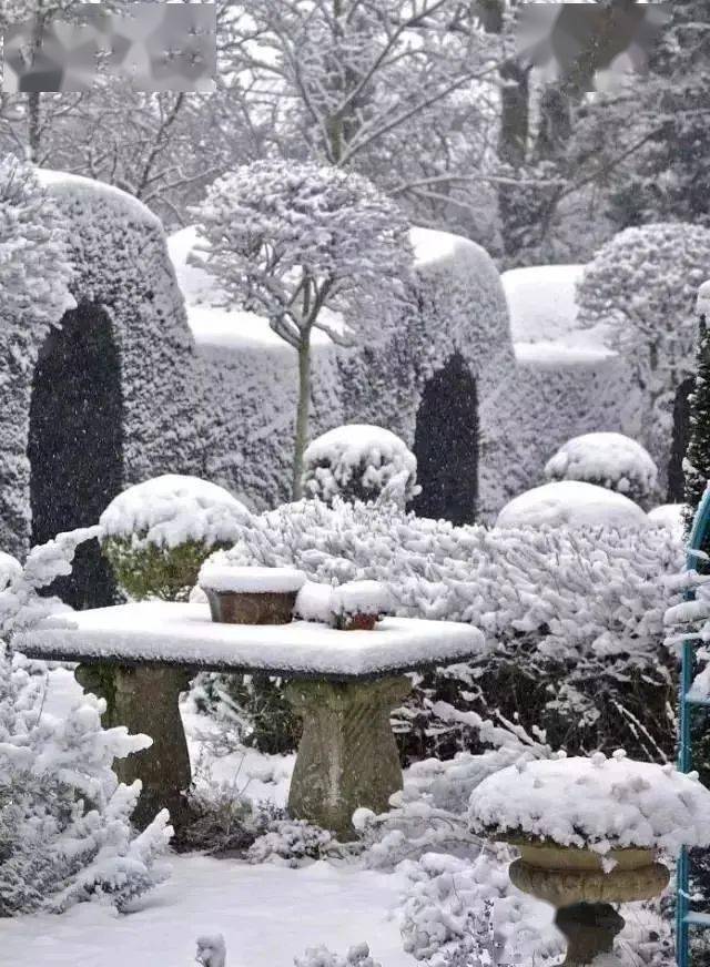 下雪时的院子,真美!