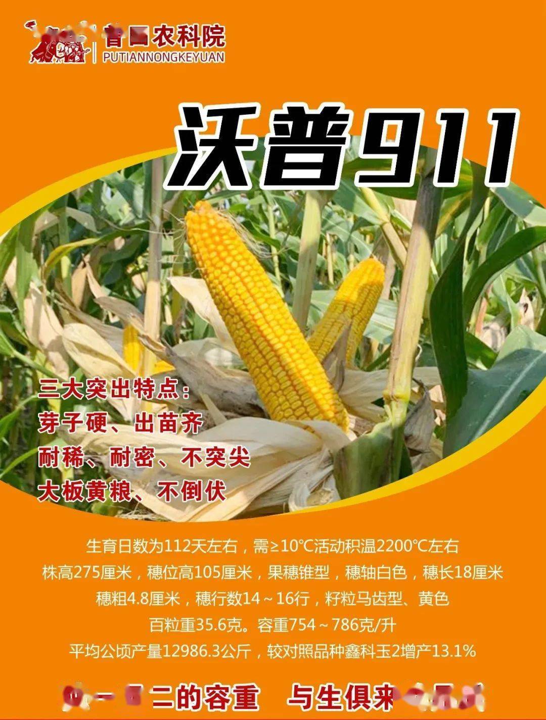 玉米今日行情黑龙江省 9e3560c0990347b58e8176318937e548.jpeg