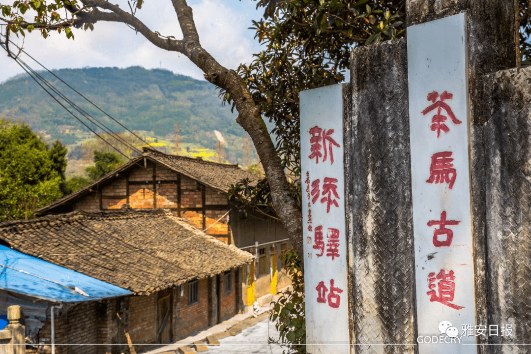 第三批"四川最美古镇古村落"名单公示,雅安上榜的这5个村,你逛过几个?