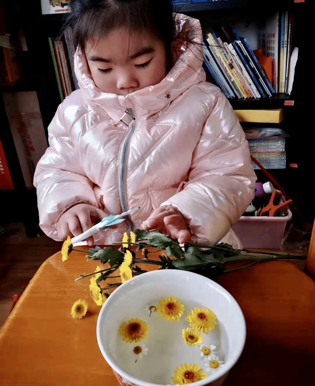 各种各样的花的简笔画 c45d6f59b0a44fe6b1c376286ed523a6.png