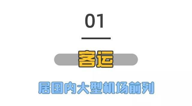 深圳货代公司排名_深圳高楼排名(3)