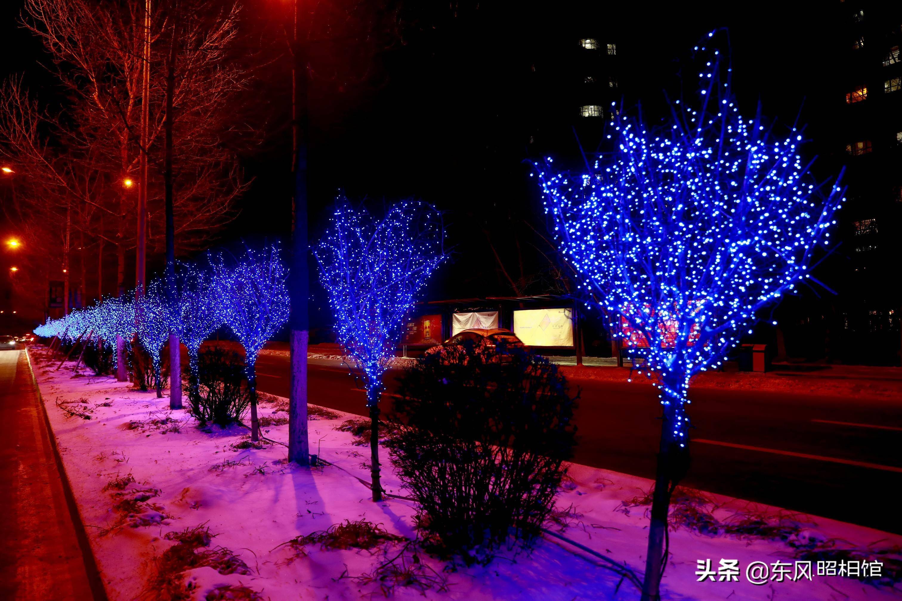 东北美景看长春夜景彩灯白雪打造迷人地标