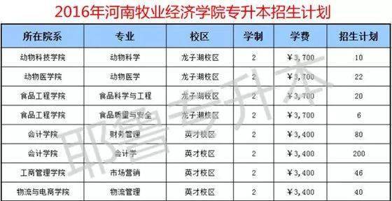 2019河南经济总量_河南牧业经济学院(3)