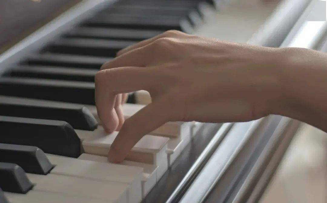 手腕的"弹簧"作用在钢琴入门阶段如何感受和练习?