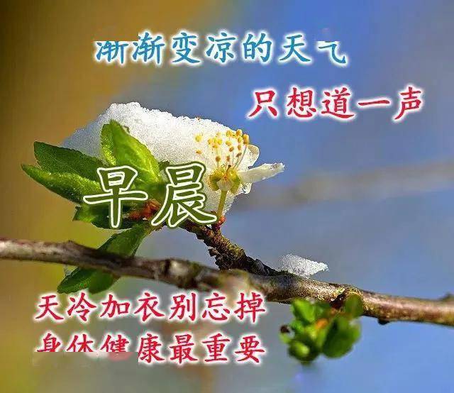 亲爱的朋友,真心地祝福你周末愉快好心情,早安