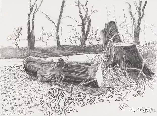 【写生啦】回归素描的美感——大卫·霍克尼素描风景作品