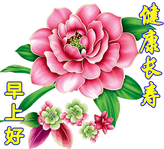 大家早上好表情图 早安心语正能量句子 晚上好的问候