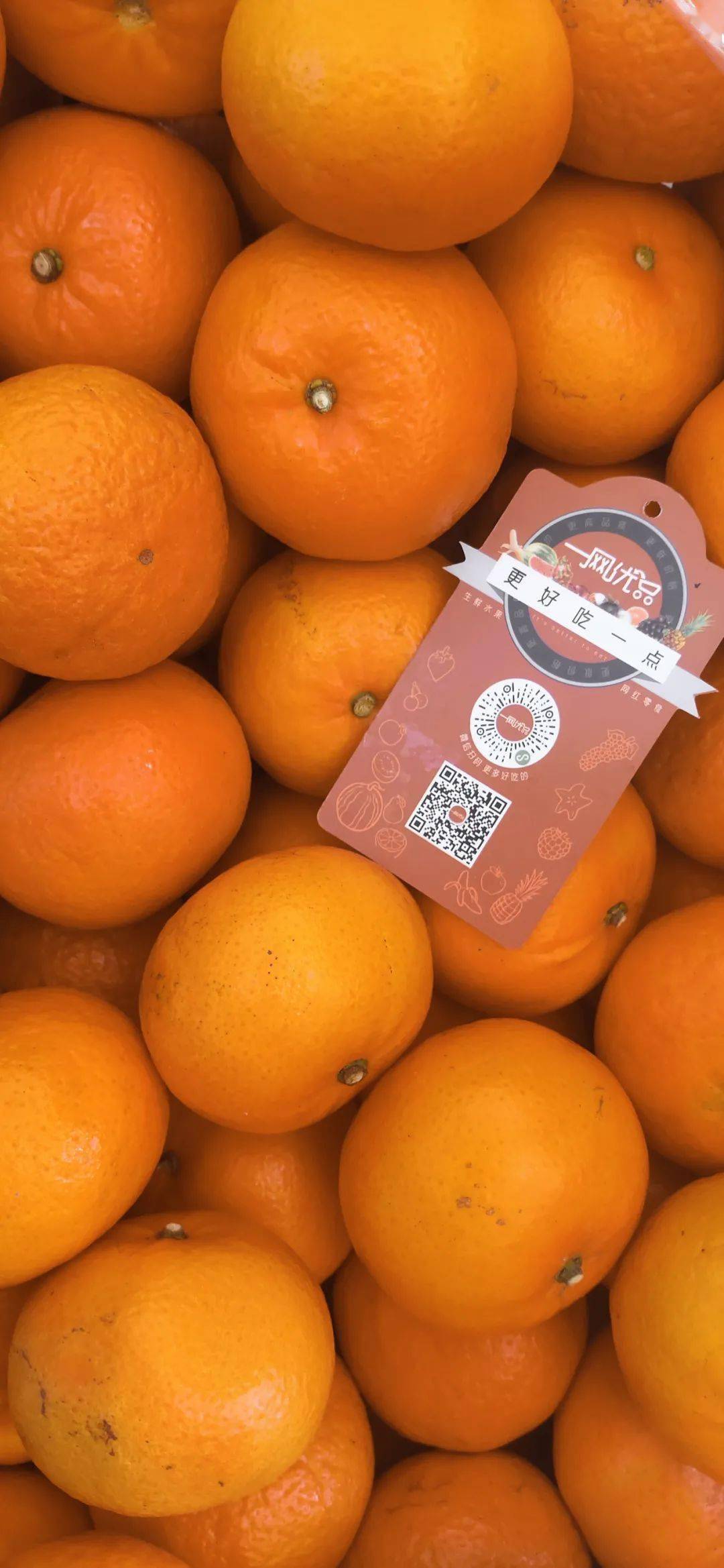 一网优品沃柑实拍图  ↓↓
