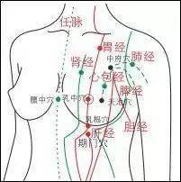 冲脉任脉均起于胞中,为气血之海