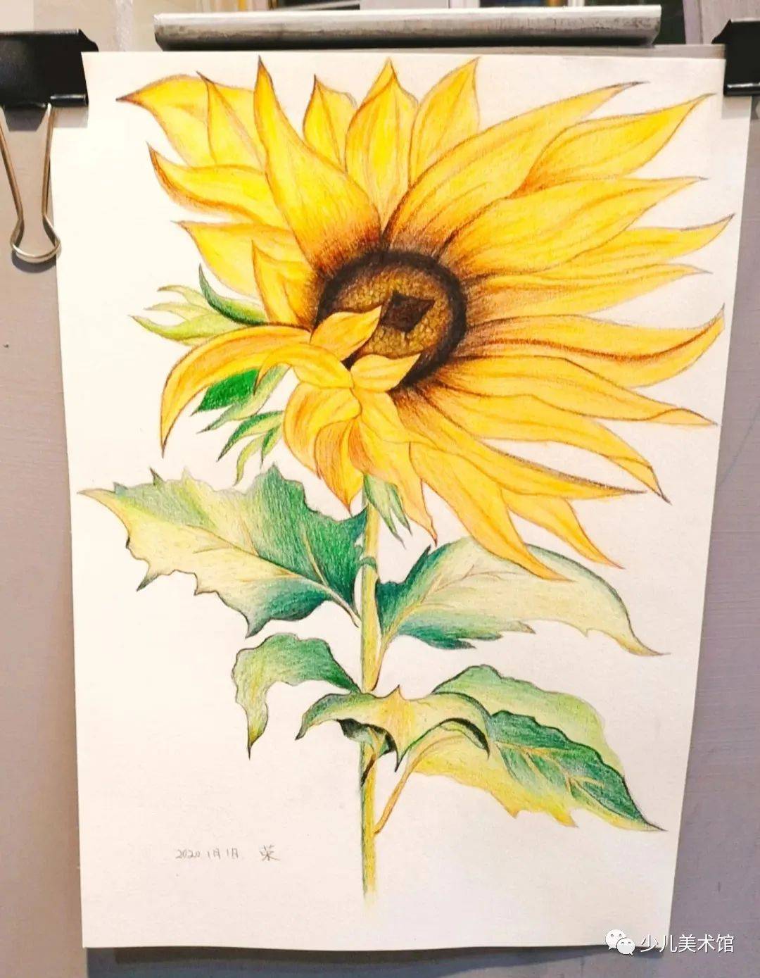 这88张彩铅画我一张都不想错过