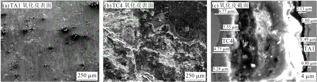 ta1 和 tc4 板氧化皮表面形貌和厚度