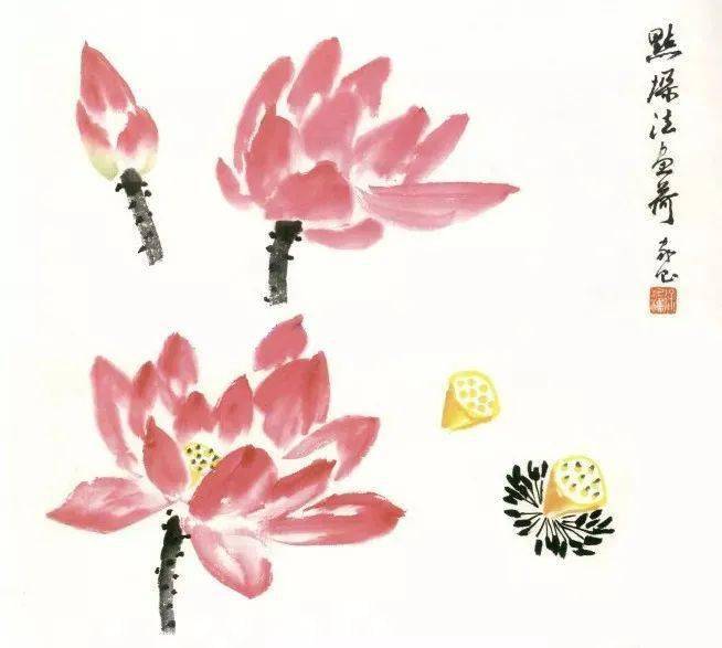 荷花画法,写意和工笔都有,看这篇就够了!