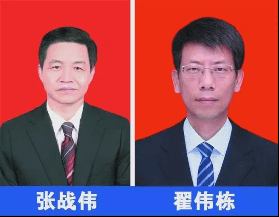 央媒评济源市委书记张战伟被免职耳光打掉乌纱更要打醒官霸党员干部要