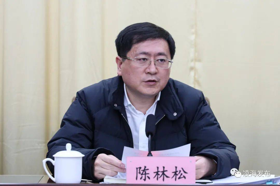 我市召开疫情防控工作会议_陈林松