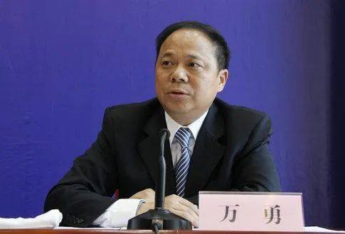 4位武汉市原市长的下一站