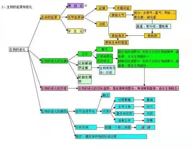 生物思维导图大全_绿色植物