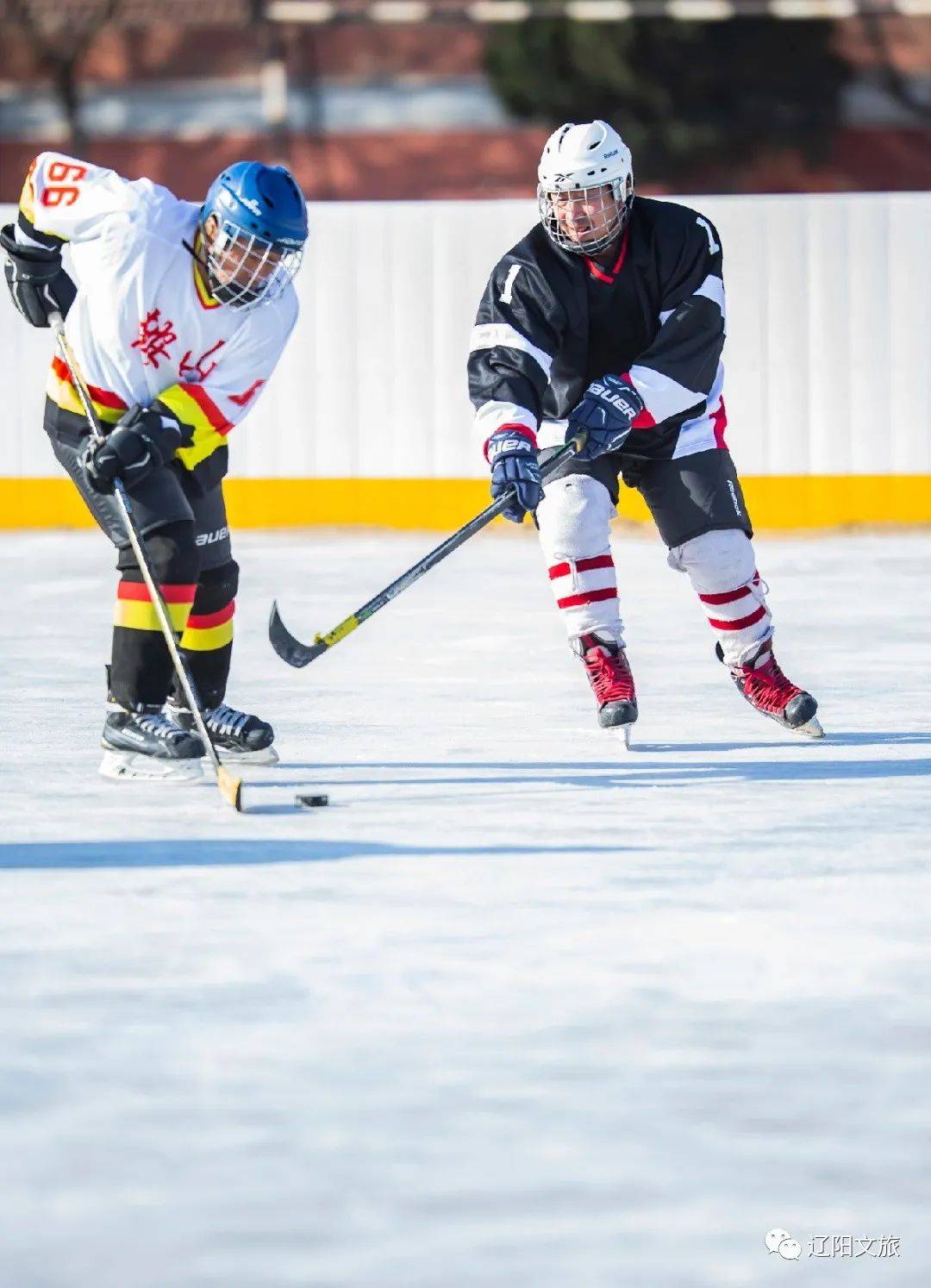 碰撞的冬奥会项目—冰球运动在辽阳