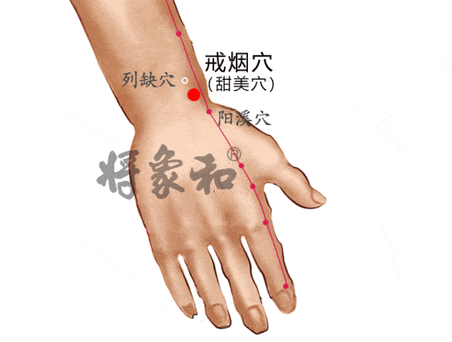 牙痛:合谷穴
