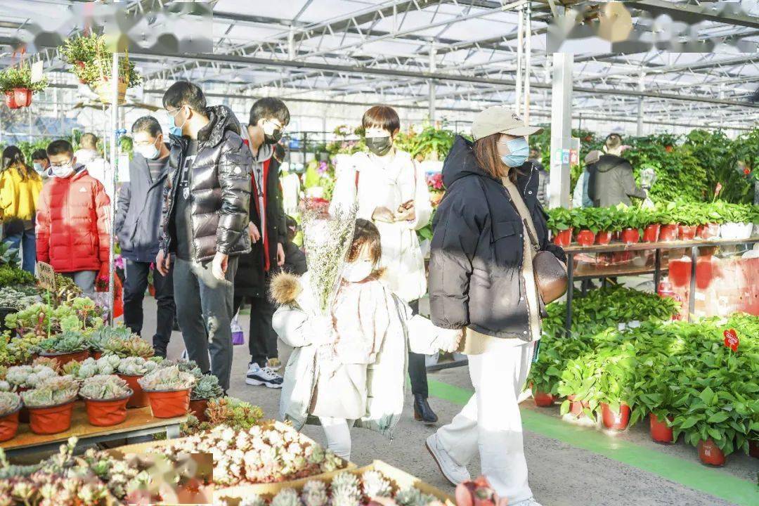 畅游雁塔周末去这里打卡网红花鸟鱼市