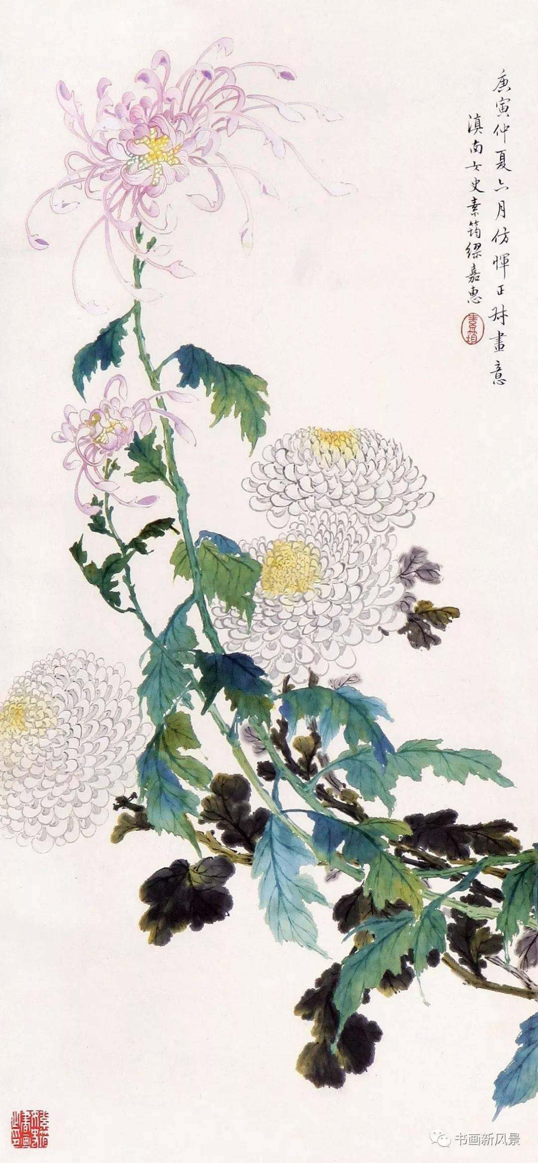 清 缪素筠(缪嘉惠) 菊花中国古代真正有名的女画家,其实并不多,每个