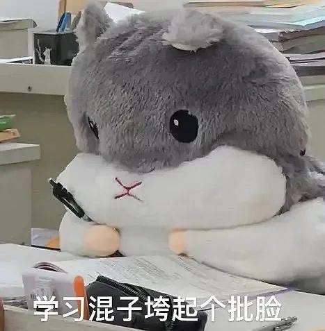 仅需一个微信头像,就能体现你在好好学习!