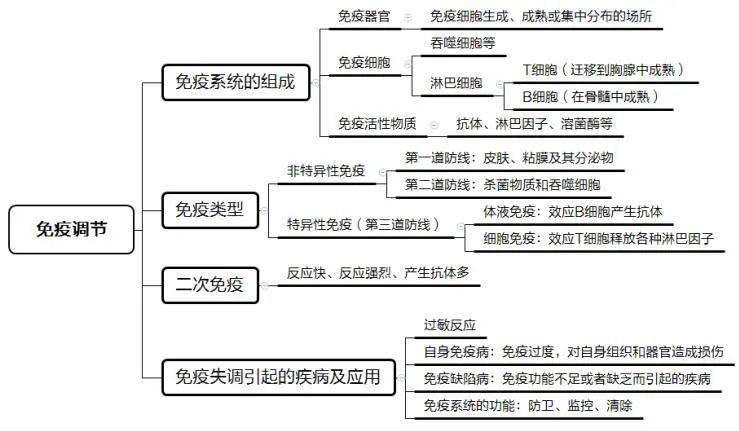 【教招学科】生物:免疫调节_细胞
