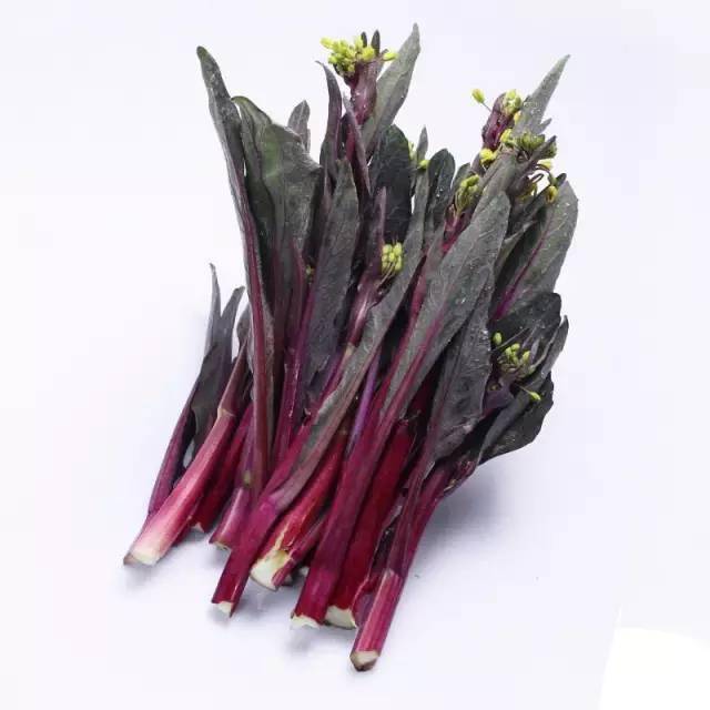 红菜苔,含有钙,磷,铁,胡萝卜素,抗坏血酸等成分.