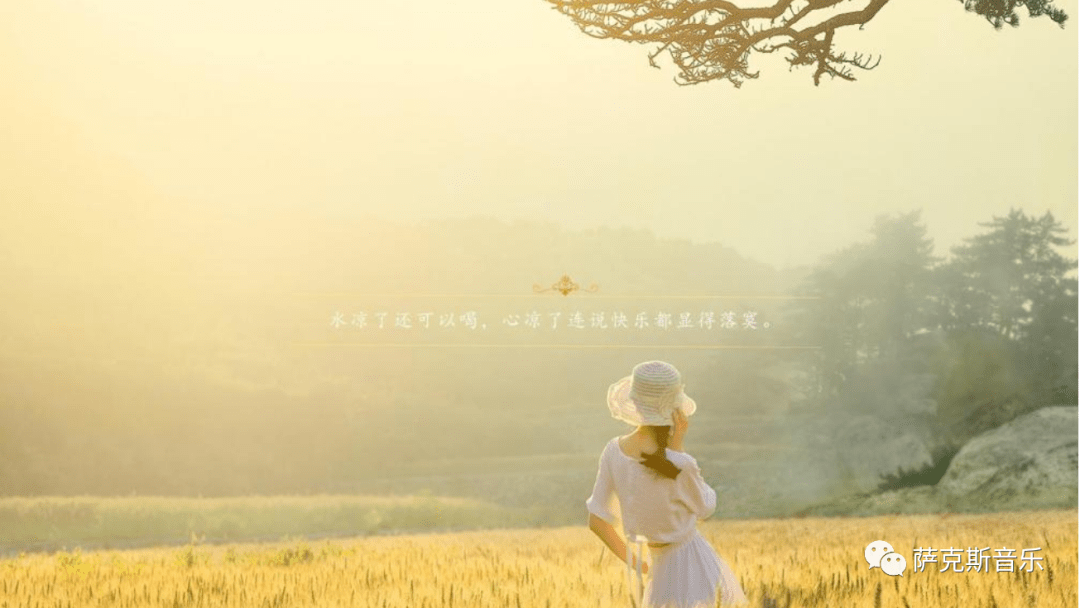 【我的快乐就是想你】唯美浪漫,百听不厌(萨克斯唯美音乐)