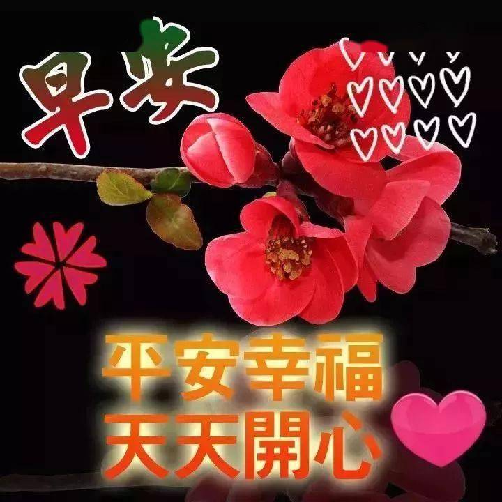 早上好祝福语动态漂亮图片,微信群早安祝福语语图片带