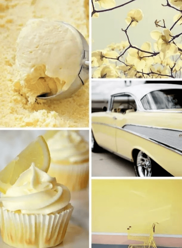 搭配技巧温温柔柔的奶油黄才是年度最美色彩